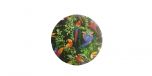 Mesa Posta, Capa de Sousplat Tropicale 1